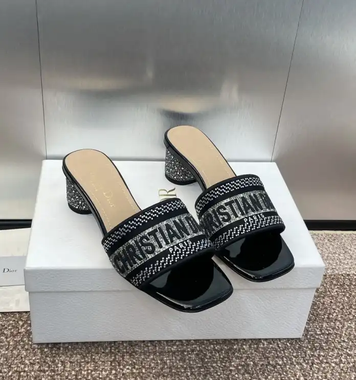 hype Christian Dior Slippers