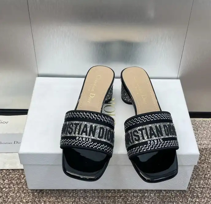 hype Christian Dior Slippers