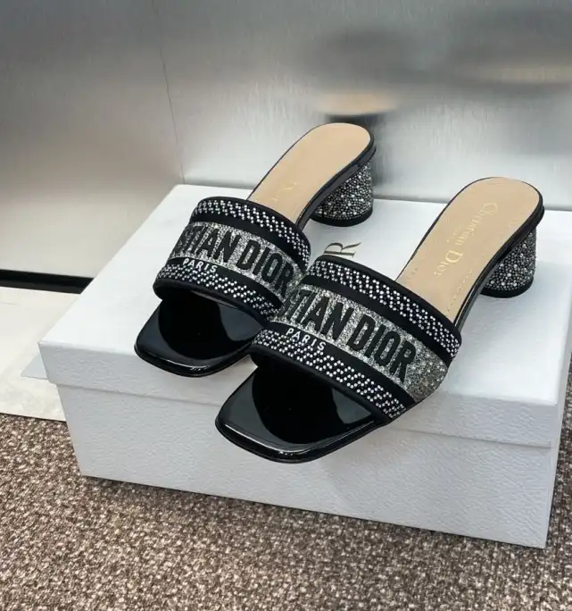 hype Christian Dior Slippers