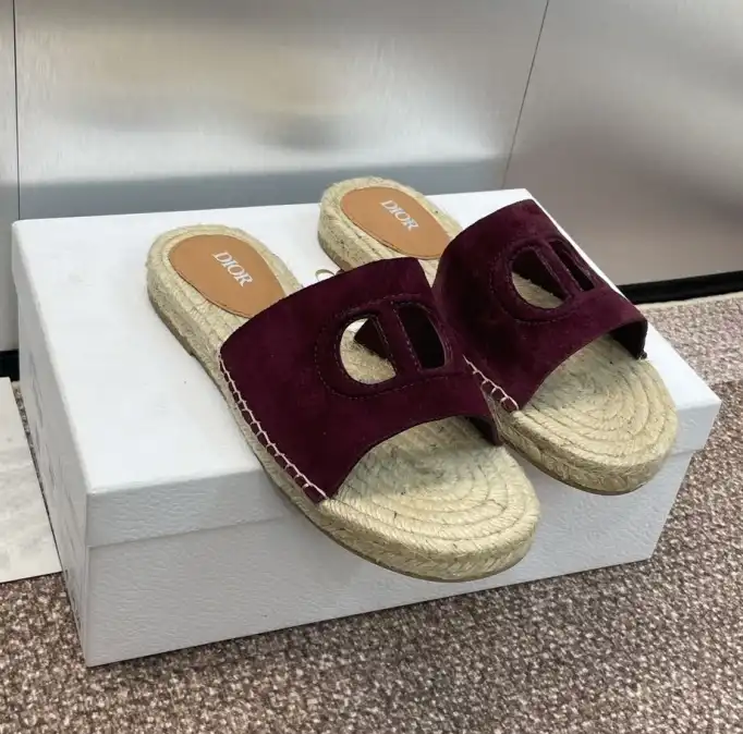 hype Christian Dior Slippers