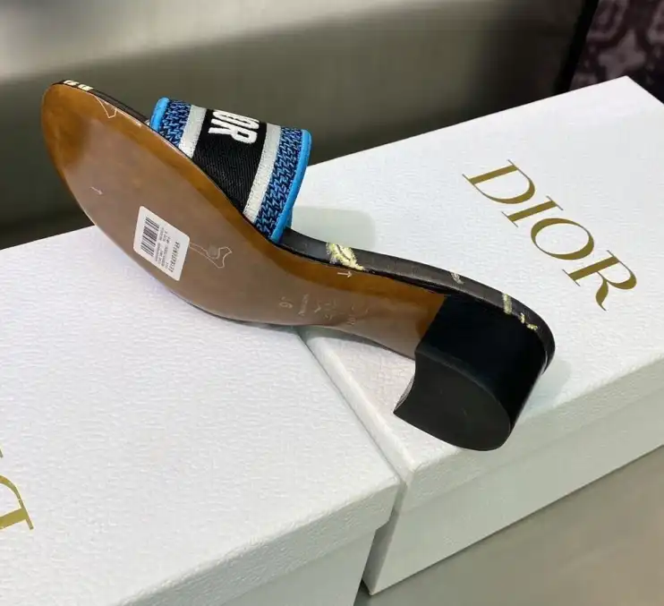 hype Christian Dior Slippers