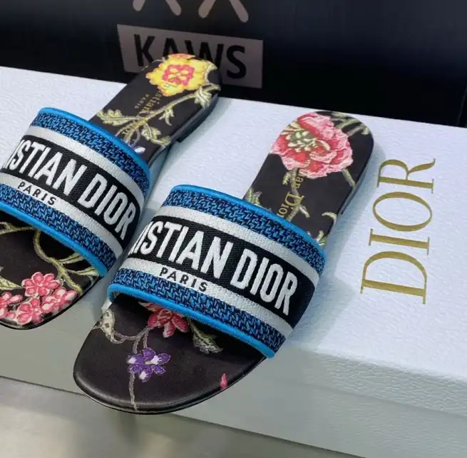 hype Christian Dior Slippers