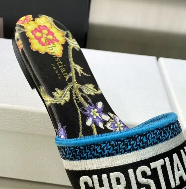 hype Christian Dior Slippers