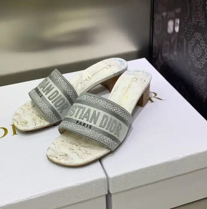 hype Christian Dior Slippers