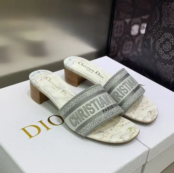 hype Christian Dior Slippers