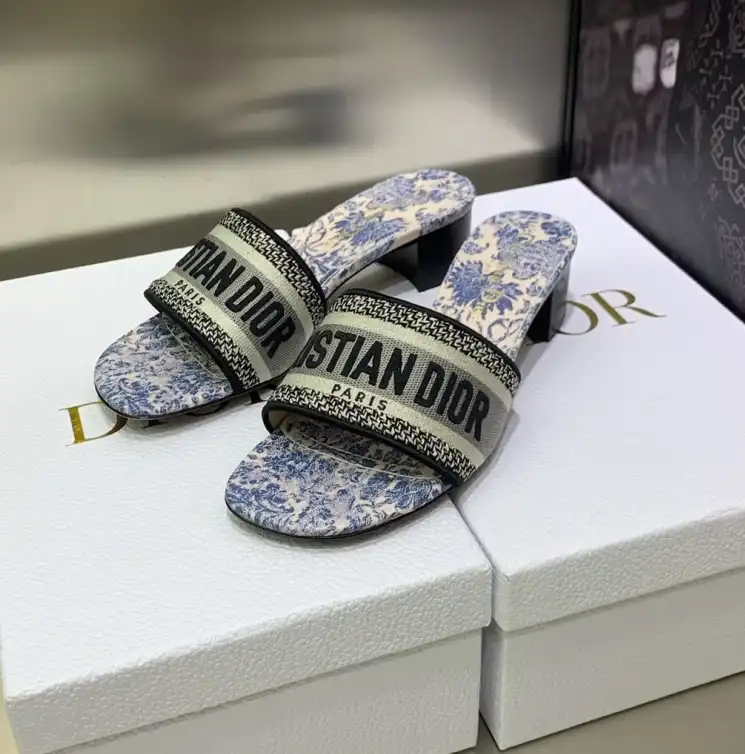 hype Christian Dior Slippers