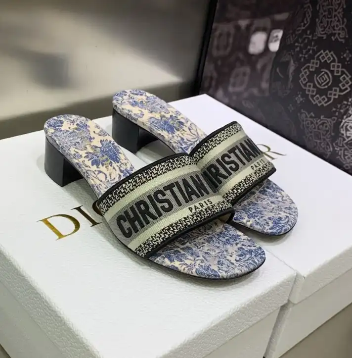 hype Christian Dior Slippers