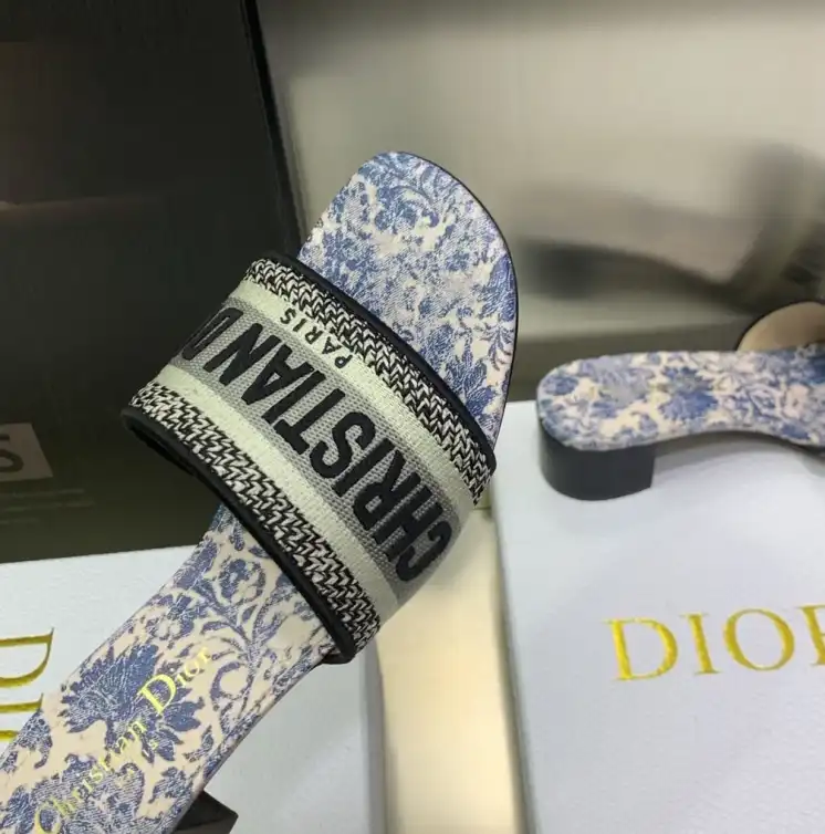 hype Christian Dior Slippers