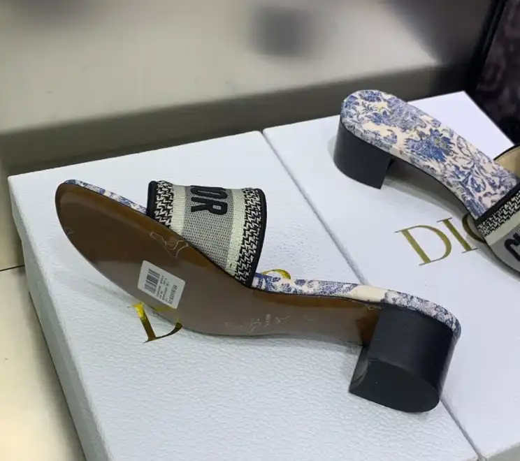 hype Christian Dior Slippers