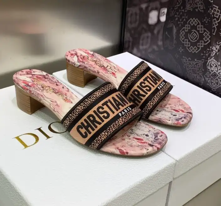 hype Christian Dior Slippers