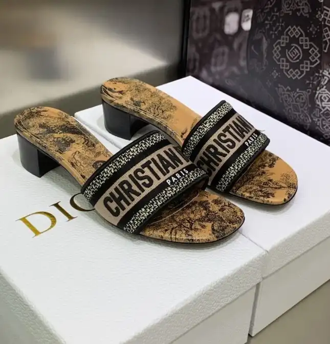 hype Christian Dior Slippers