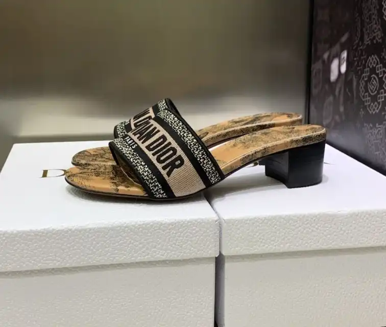 hype Christian Dior Slippers