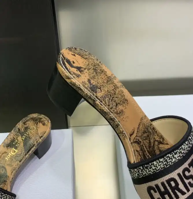 hype Christian Dior Slippers