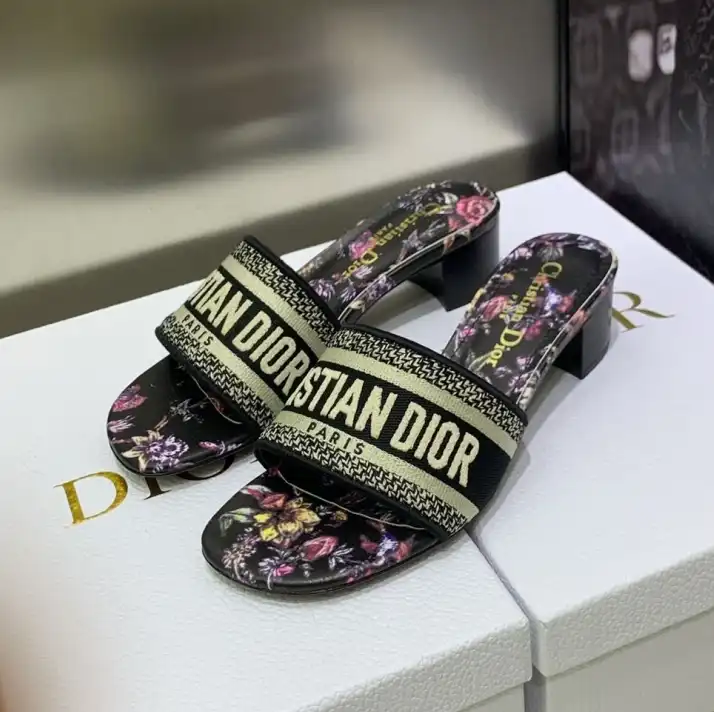 hype Christian Dior Slippers