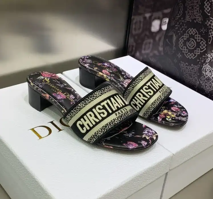 hype Christian Dior Slippers