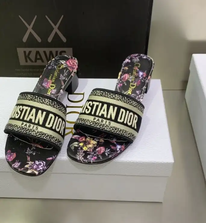 hype Christian Dior Slippers