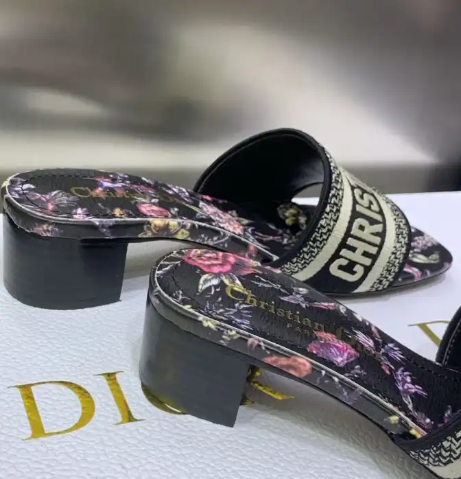 hype Christian Dior Slippers