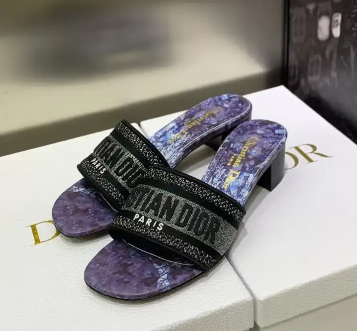 hype Christian Dior Slippers