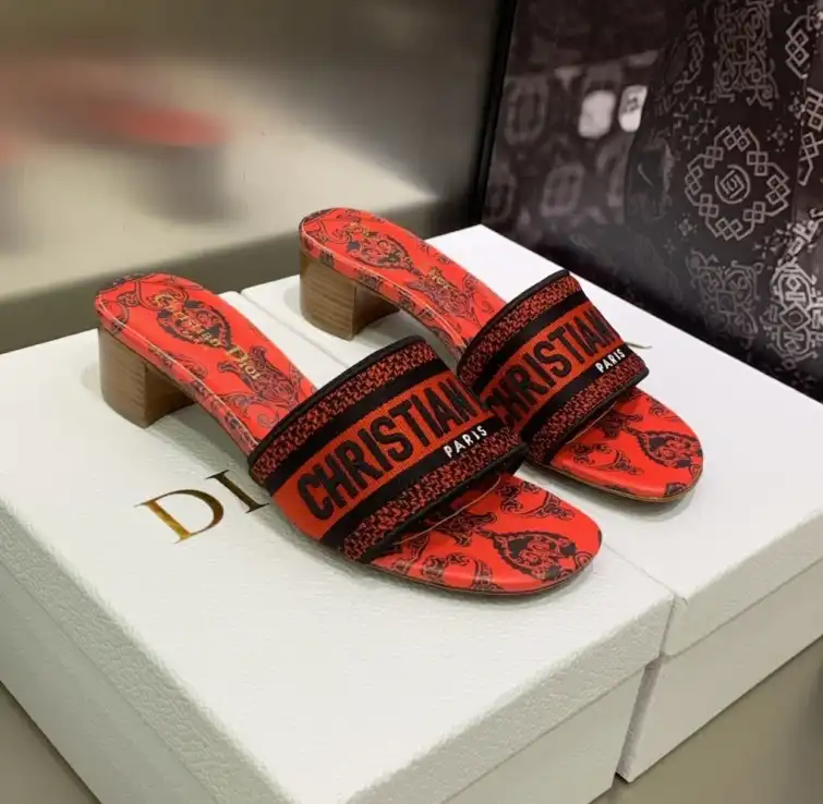 hype Christian Dior Slippers