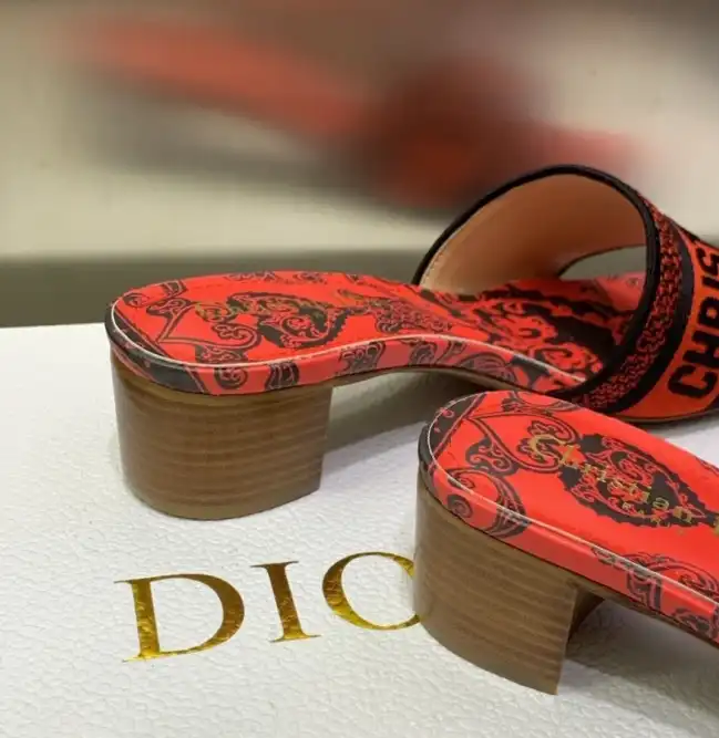 hype Christian Dior Slippers