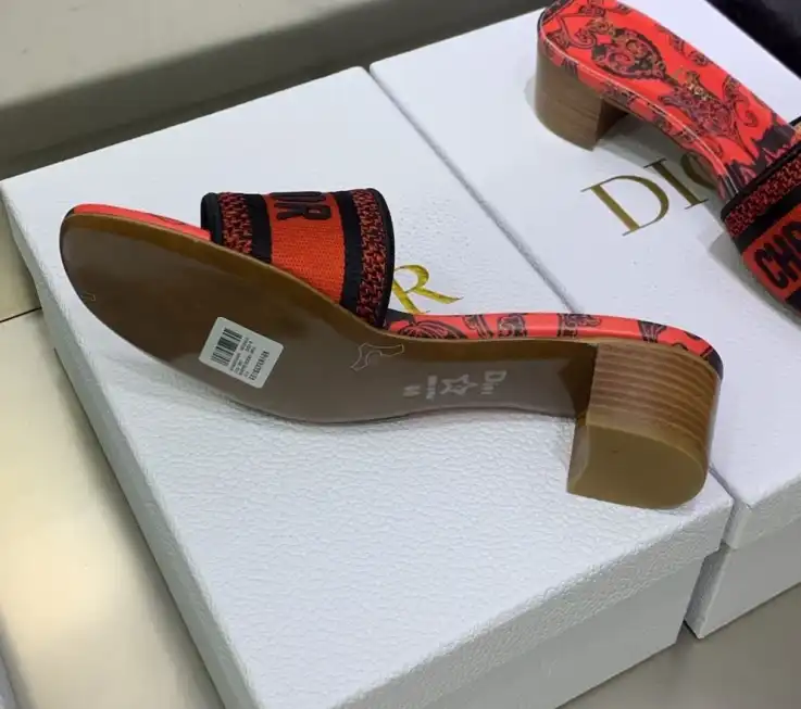 hype Christian Dior Slippers