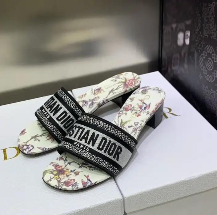 hype Christian Dior Slippers