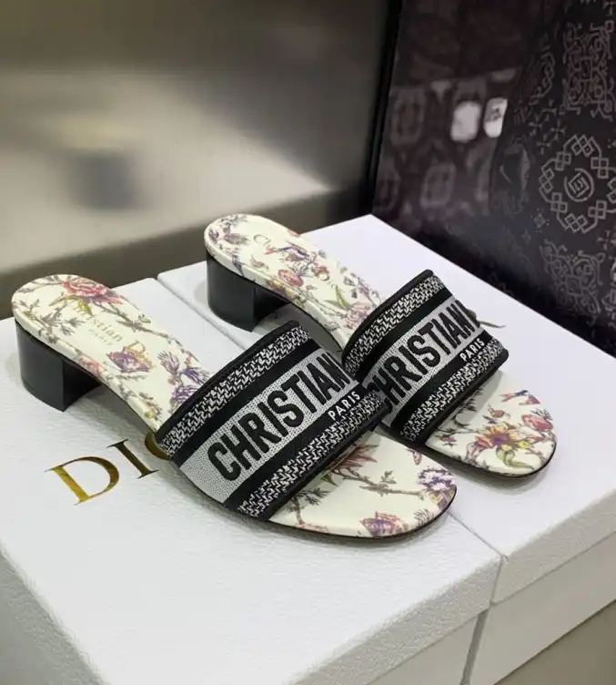 hype Christian Dior Slippers