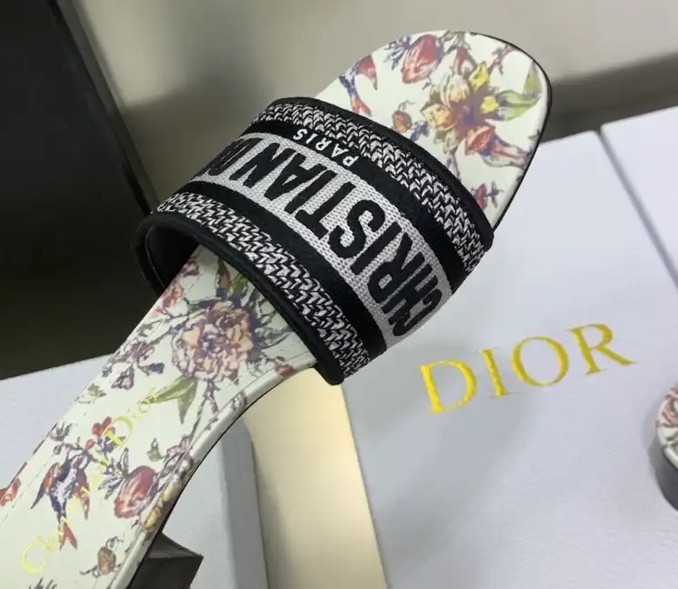 hype Christian Dior Slippers