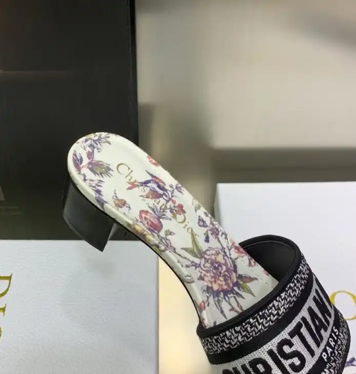 hype Christian Dior Slippers