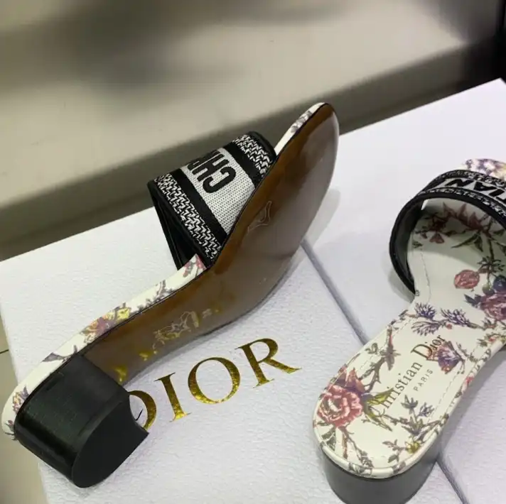 hype Christian Dior Slippers