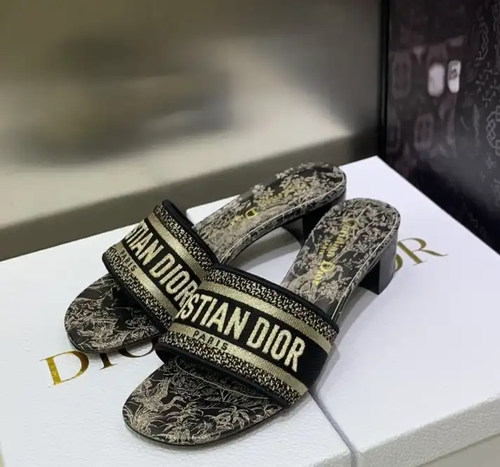 hype Christian Dior Slippers