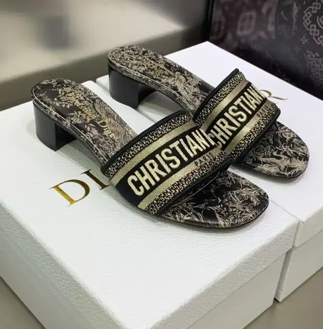 hype Christian Dior Slippers