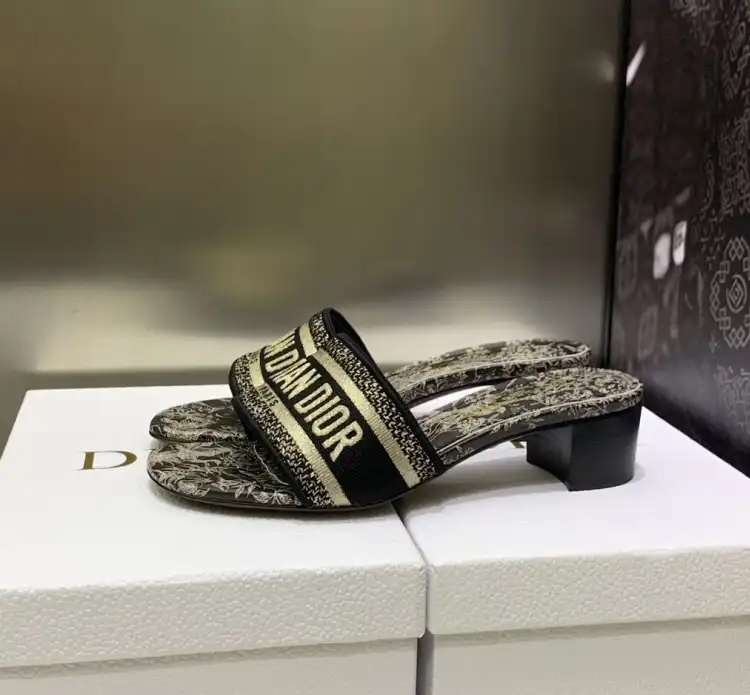 hype Christian Dior Slippers