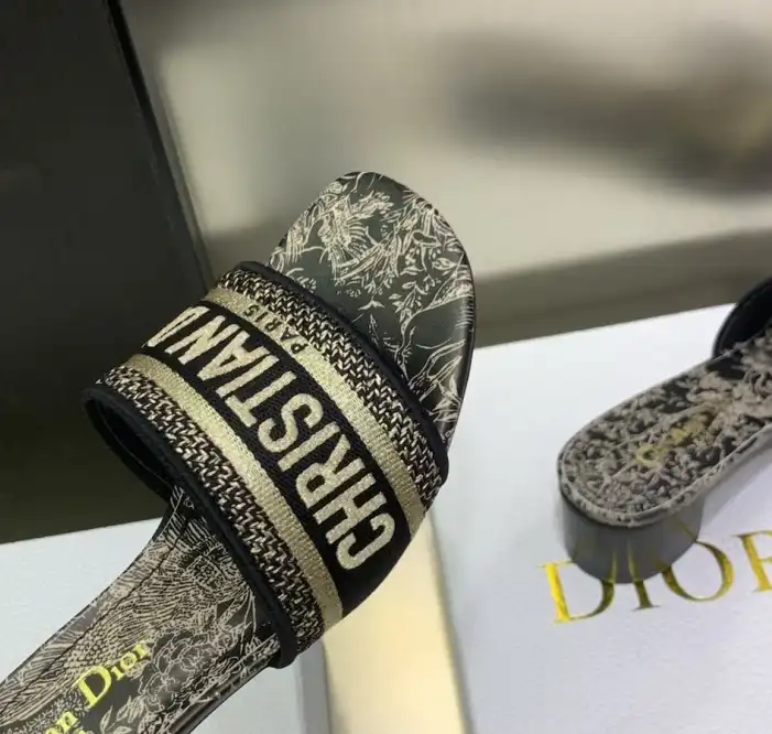 hype Christian Dior Slippers