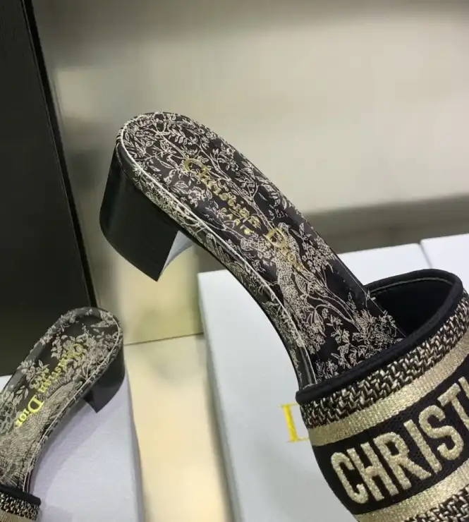 hype Christian Dior Slippers