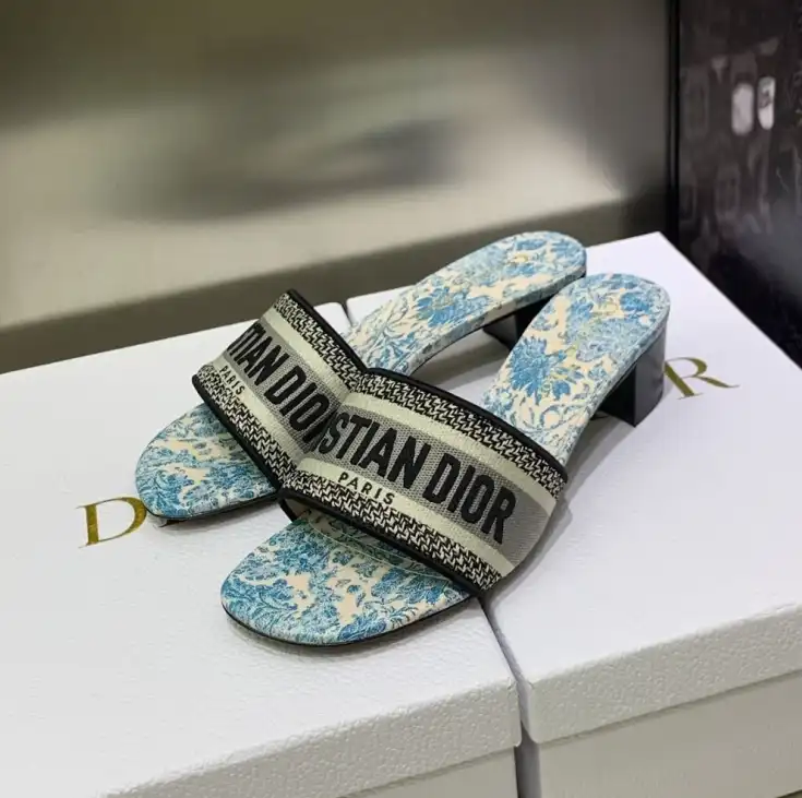 hype Christian Dior Slippers