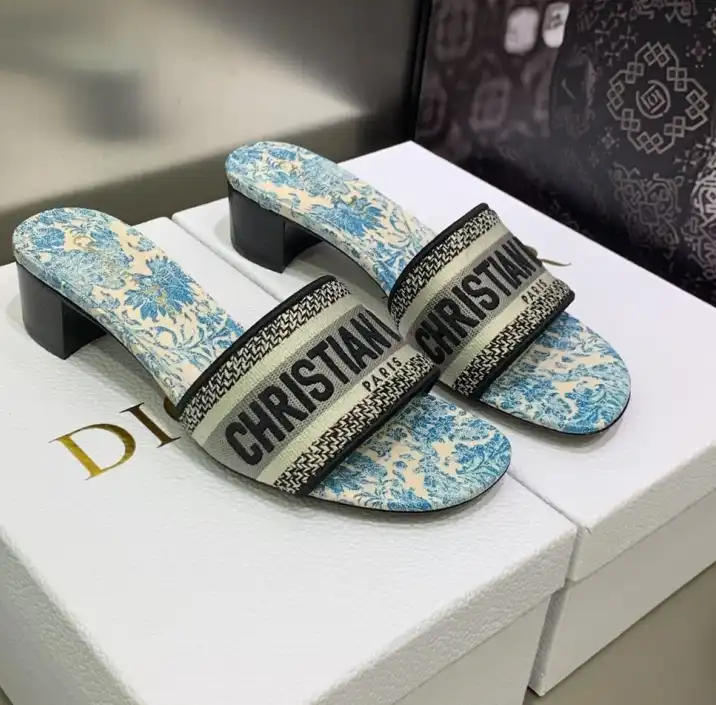 hype Christian Dior Slippers