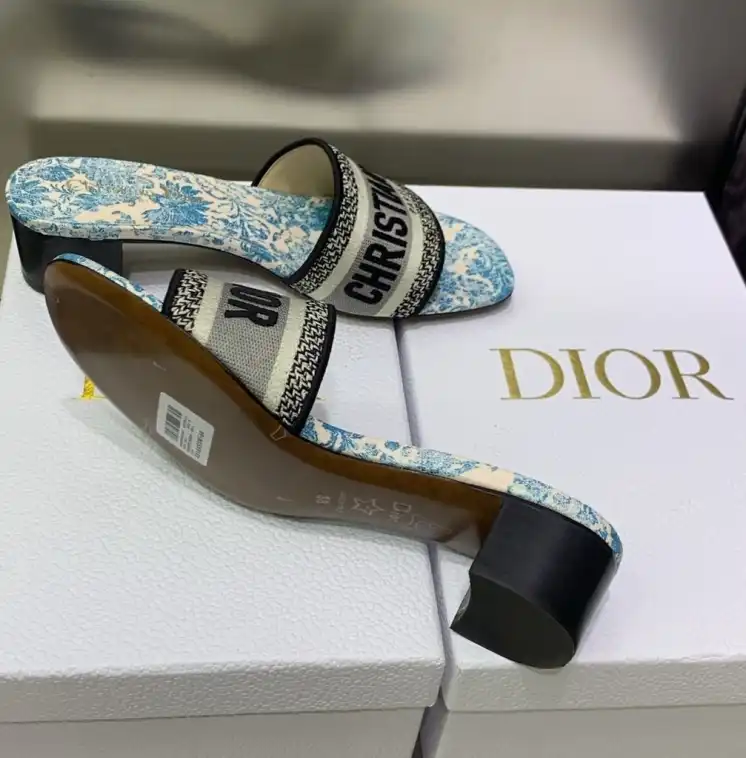 hype Christian Dior Slippers