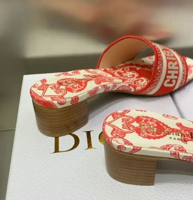 hype Christian Dior Slippers