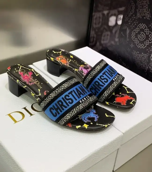 hype Christian Dior Slippers