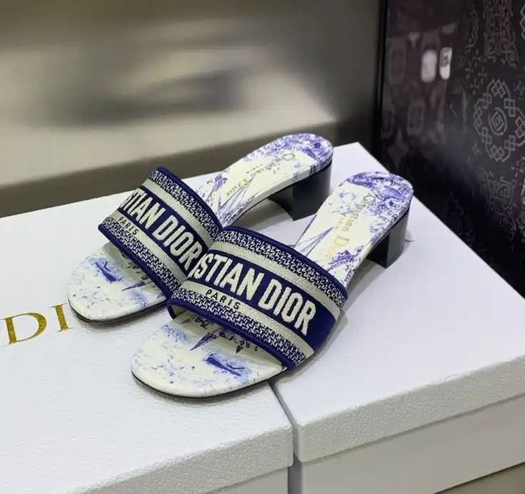 hype Christian Dior Slippers