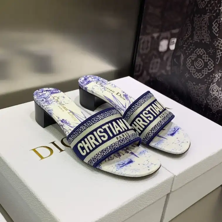 hype Christian Dior Slippers