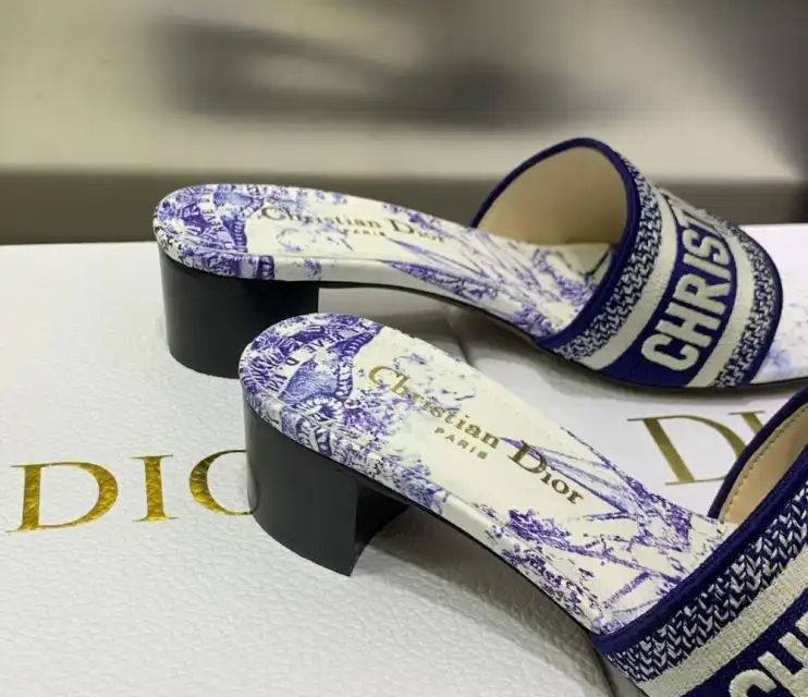 hype Christian Dior Slippers