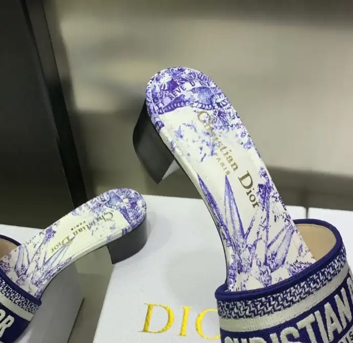 hype Christian Dior Slippers