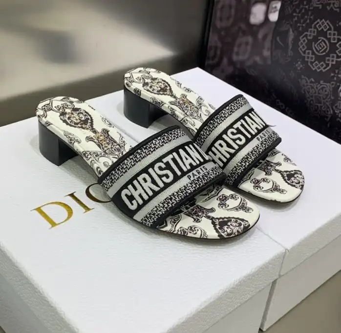 hype Christian Dior Slippers