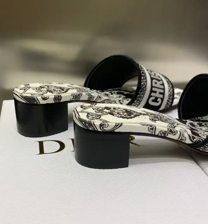 hype Christian Dior Slippers