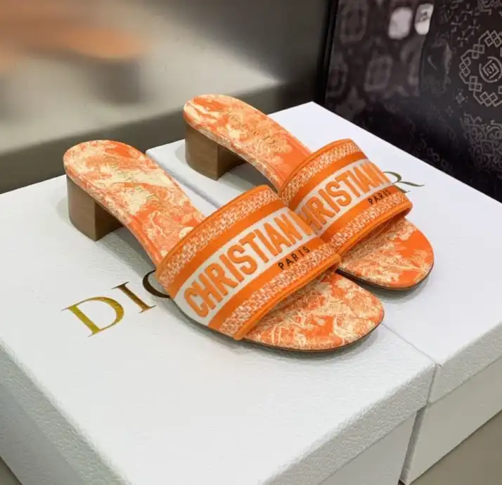 hype Christian Dior Slippers