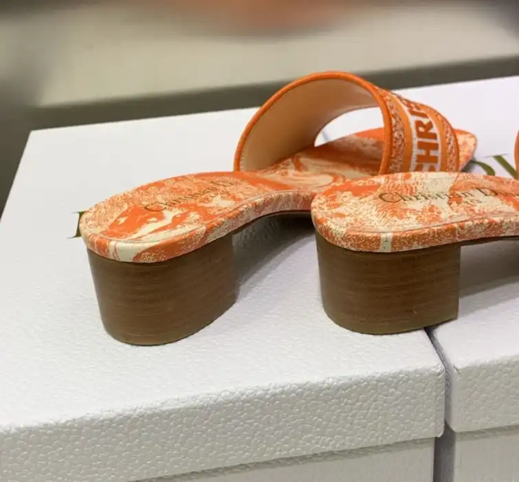 hype Christian Dior Slippers