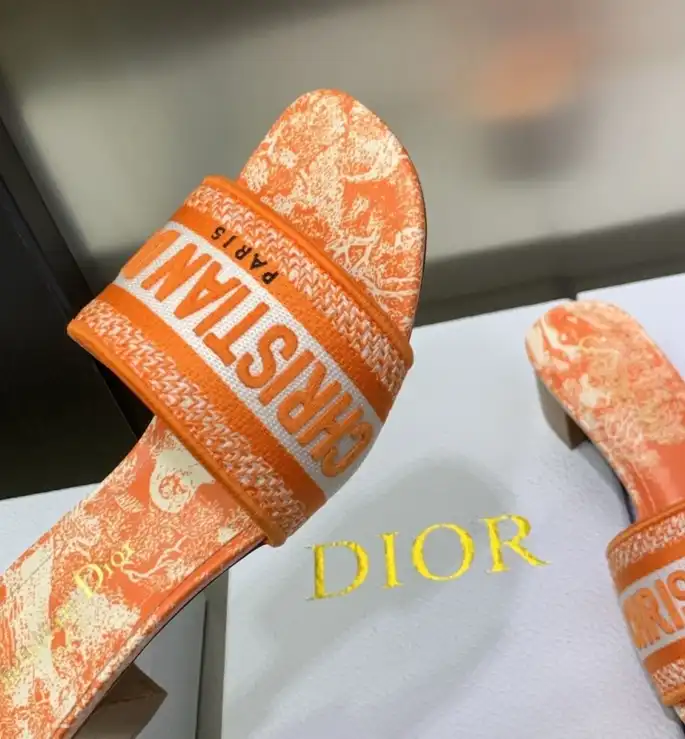 hype Christian Dior Slippers