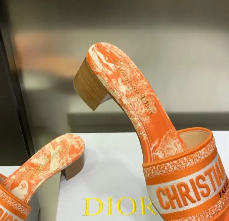 hype Christian Dior Slippers